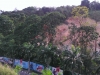 imag0795