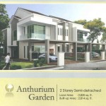 Anthurium Anthurium