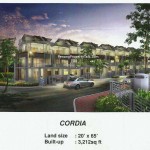 cordia cordia