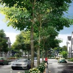 sa65-neighbourhood3 sa65-neighbourhood3