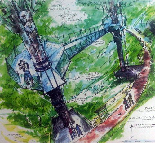 New canopy walk in Penang Hill by year-end