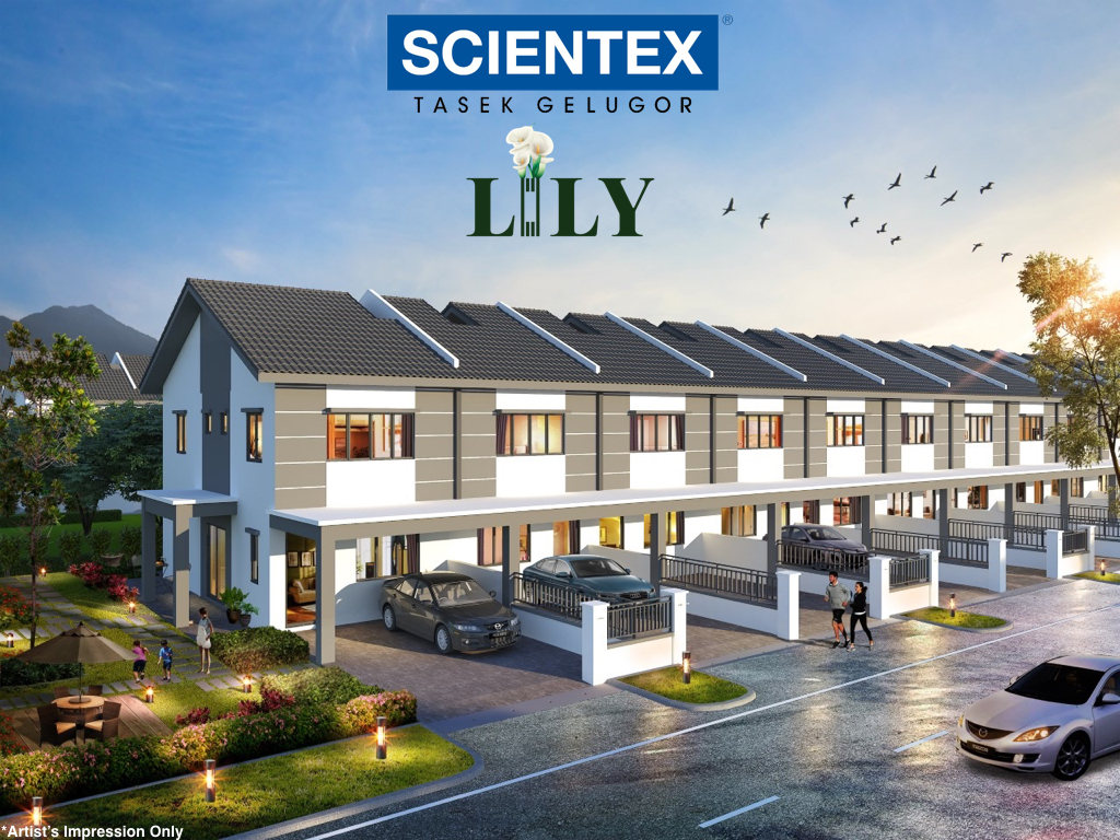 scientextasekgelugorlily2storey  Penang Property Talk