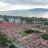 Revised assessment tax reflected in 2nd half-year bill for Seberang Perai