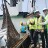 RM300 million tuna port planned in Penang to revive industry’s glory days