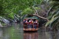 Penang River Cruise offers wildlife and cultural encounters